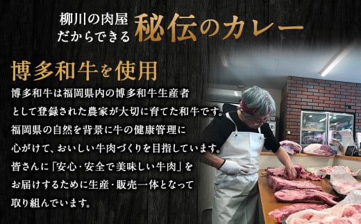 柳川黄金博多和牛カレー 200g×4箱 合計4人前