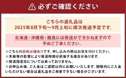 巨峰 300g×8パック 合計約2.4kg