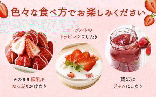 あまおう 等級G 約280g×2パック 計約560g