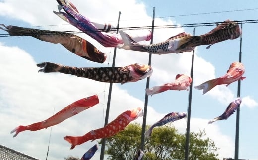 鯉のぼり（制覇3ｍ6点セット）