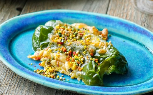 大森屋 緑黄野菜ふりかけ 45g×10セット