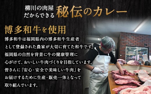 柳川黄金博多和牛カレー 2食分（200g）×2箱【TVで話題!!】 柳川 黄金 博多 和牛 カレー お肉 肉 牛肉 カレーライス ルー 黄金カレー 国産 200g 2箱