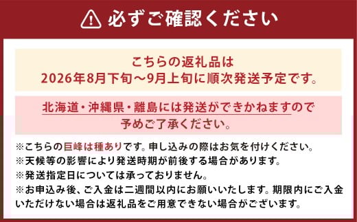 巨峰 300g×8パック 合計約2.4kg
