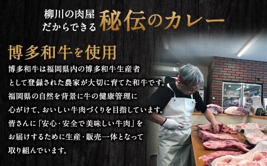 柳川黄金博多和牛カレー 6食分（200g）×6箱【TVで話題!!】 柳川 黄金 博多 和牛 カレー お肉 肉 牛肉 カレーライス ルー 黄金カレー 国産 200g 6箱