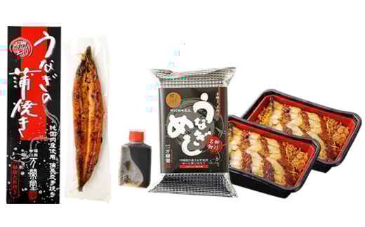 うなぎ尽くし 蒲焼きとうなぎめしセット うなぎ 蒲焼き 1尾 170～200g うなぎめし 250g×2個