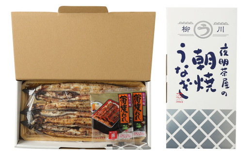 柳川 朝焼きうなぎ 3尾入 約150g×3 合計約450g タレ・山椒6袋