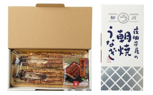柳川 朝焼きうなぎ 2尾入 約150g×2 合計約300g タレ・山椒3袋