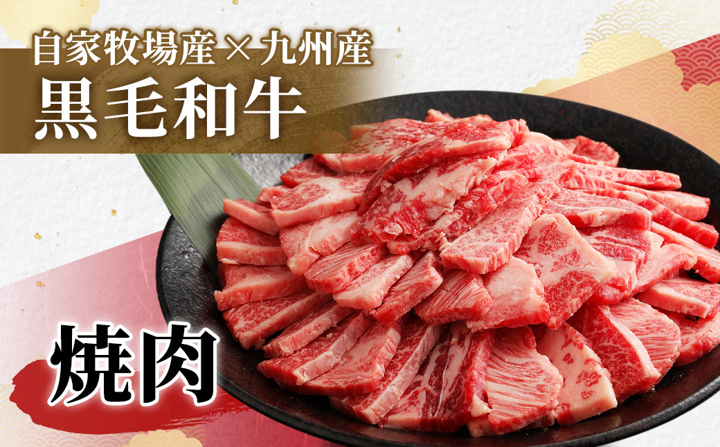 【数量限定】黒毛和牛 焼肉 切落し 1000g