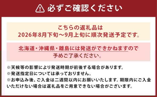 いちじく 400g×4パック 合計約1.6kg