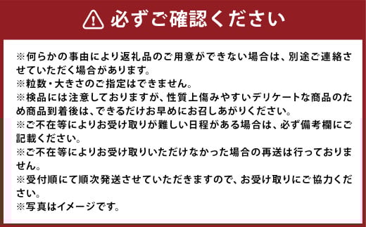 巨峰 300g×8パック 合計約2.4kg