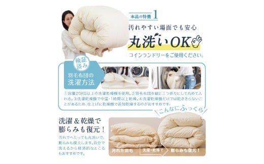 〈選べるカラー〉 洗える 羽毛布団 合掛けふとん シングル ホワイトダックダウン 85% 充填 0.6kg 軽い 軽量 （150cm x 210cm） （ アイボリー ／ グレー ／ ブラウン ／ ピンク ） 布団 ふとん 掛け布団