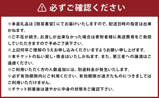 福岡県柳川市 日本旅行 地域限定旅行クーポン30,000円分（30,000円分×1枚）