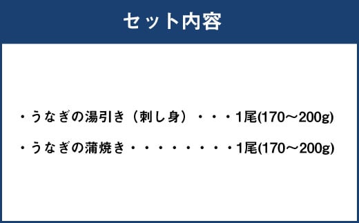 うなぎの2種 食べ比べセット 合計2尾 1尾170～200g うなぎの湯引き 刺身 うなぎの蒲焼き