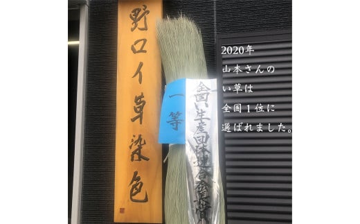いぐさの円座 4枚セット 選べる10色 い草