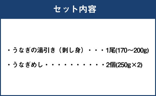 うなぎ尽くし 湯引き（刺身）とうなぎめしセット うなぎ 湯引き 刺身 1尾 170～200g うなぎめし 250g×2個