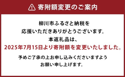 うなむす 2個入×10セット（20個）うなぎ 鰻 せいろ蒸し うなむすび