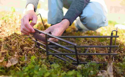 スライド ゴトク 15フット (58cm×15cm×16cm) 五徳 アウトドア キャンプ