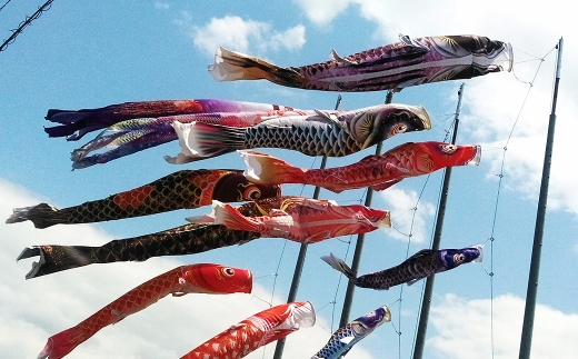 鯉のぼり（制覇2ｍどこでもスタンドセット）