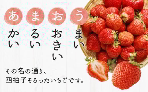 あまおう 等級G 約280g×2パック 計約560g
