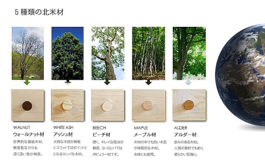 マカロンリブロ 幅49.5cm 奥行32cm 総高80cm 絵本ラック 収納棚付き