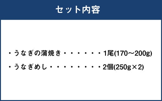 うなぎ尽くし 蒲焼きとうなぎめしセット うなぎ 蒲焼き 1尾 170～200g うなぎめし 250g×2個