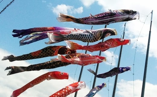 鯉のぼり（制覇6ｍ6点セット）