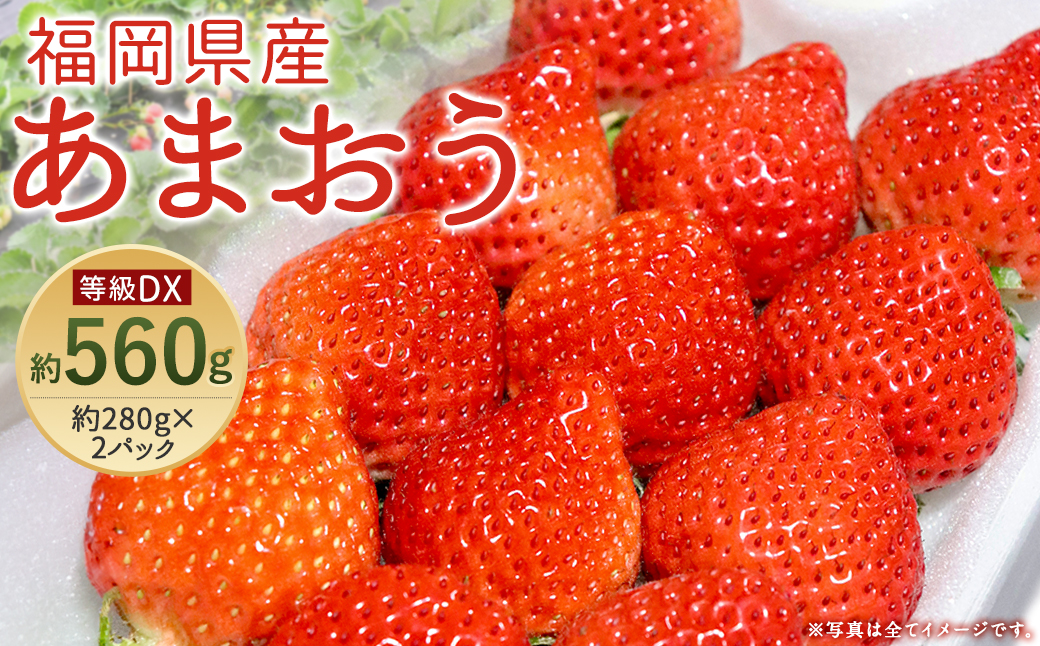 あまおう 等級DX 約280g×2パック 計約560g