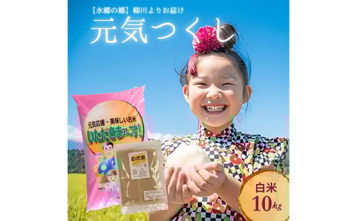 【柳川のお米】 元気つくし 10kg と 麦茶 16パック