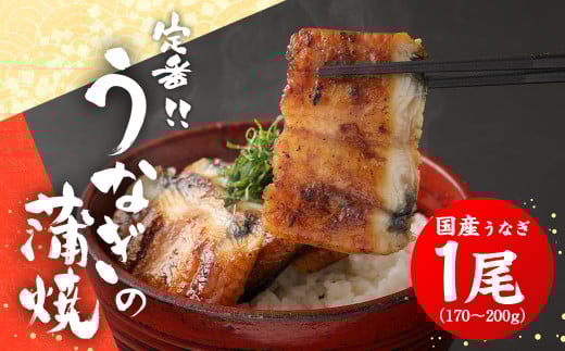 定番！うなぎの蒲焼き 1尾 170～200g