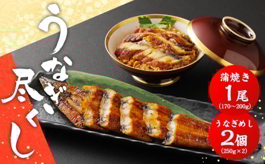 うなぎ尽くし 蒲焼きとうなぎめしセット うなぎ 蒲焼き 1尾 170～200g うなぎめし 250g×2個