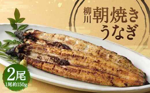 柳川 朝焼きうなぎ 2尾入 約150g×2 合計約300g タレ・山椒3袋
