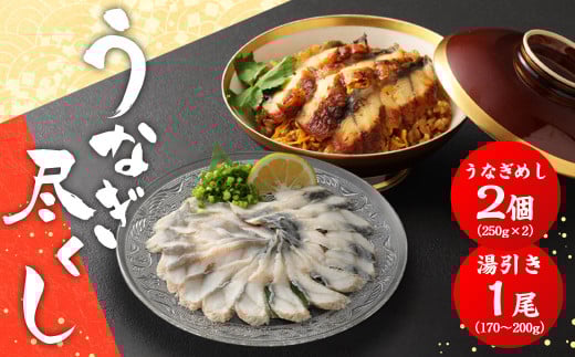 うなぎ尽くし 湯引き（刺身）とうなぎめしセット うなぎ 湯引き 刺身 1尾 170～200g うなぎめし 250g×2個