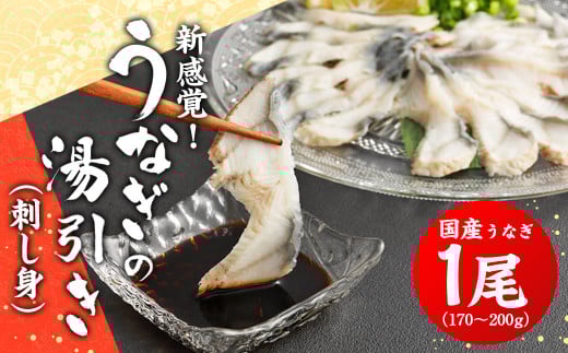 新感覚！うなぎの湯引き（刺身）1尾 170～200g