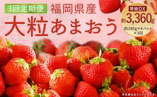 【3回定期便】大粒あまおう 等級DX 総重量約3360g