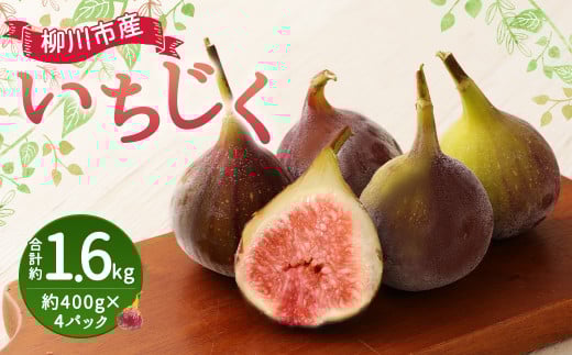 いちじく 400g×4パック 合計約1.6kg