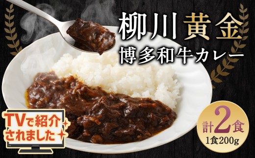 柳川黄金博多和牛カレー 2食分（200g）×2箱【TVで話題!!】 柳川 黄金 博多 和牛 カレー お肉 肉 牛肉 カレーライス ルー 黄金カレー 国産 200g 2箱
