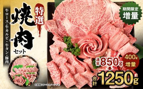 [期間限定増量]特選焼肉セット 計1250g 黒毛和牛 国産豚バラ 牛肉 ロース