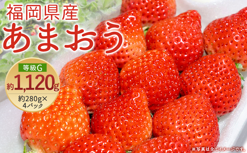 【先行予約】あまおう 等級G 約280g×4 計約1,120g