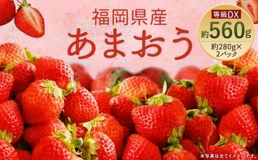 あまおう 等級DX 約280g×2パック 計約560g