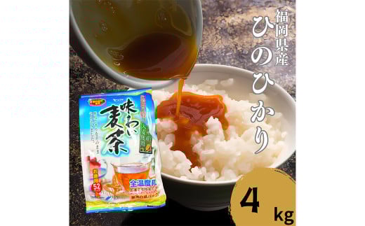 【柳川のお米】ヒノヒカリ 4kg タカラの味わい 麦茶 52パック セット