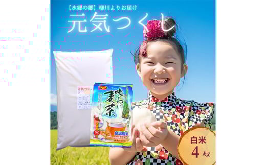 【柳川のお米】 元気つくし 4kg タカラの味わい 麦茶 52パック セット
