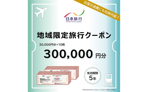 福岡県柳川市 日本旅行 地域限定旅行クーポン300,000円分（30,000円分×10枚）