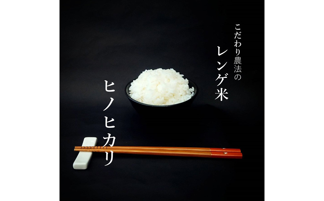 [柳川のお米]レンゲ米 10kg と 麦茶 16P セット 白米 ヒノヒカリ お茶 パック