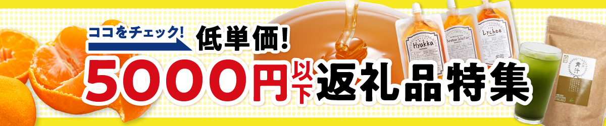 寄附額5,000円以下特集