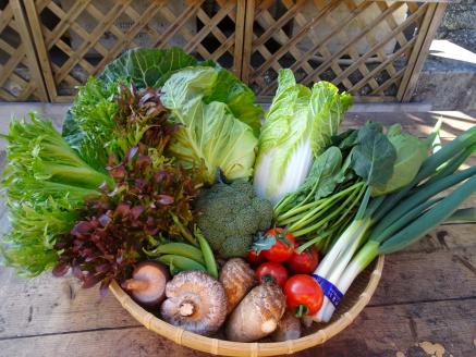 ＜道の駅たちばなオリジナル＞季節の野菜・果物セット