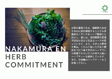 中村園　八女産水出しブレンドハーブティー　2種セット