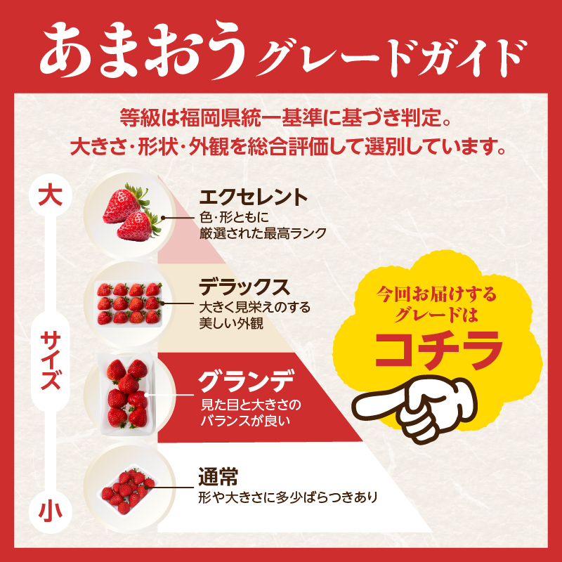 【先行受付：2026年2月発送開始】博多あまおうＧ270g×4パック｜ＪＡふくおか八女 あまおう いちご 苺 イチゴ フルーツ 果物 くだもの 人気 旬 福岡県産 大粒 アフター補償 数量限定 期間限定 産地直送 グランデ 福岡県 八女市
