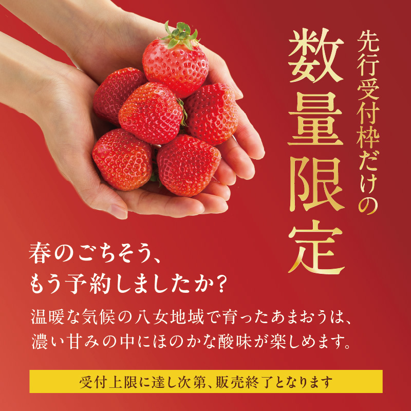 【先行受付：2026年2月発送開始】博多あまおうＧ270g×2パック｜ＪＡふくおか八女 あまおう いちご 苺 イチゴ フルーツ 果物 くだもの 人気  旬 福岡県産 大粒 アフター補償 数量限定 期間限定 産地直送 グランデ 福岡県 八女市