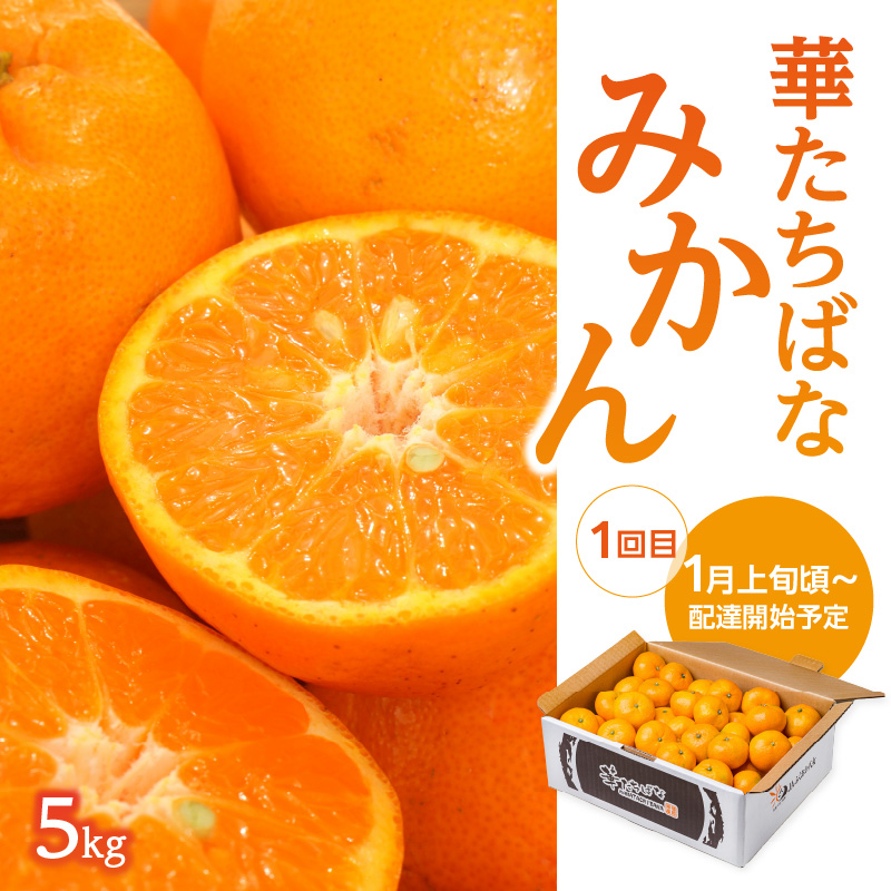 福岡冬の果物定期便【全3回】冬のお届け便 JAふくおか八女からお届け！ みかん ミカン キウイ あまおう いちご 苺 イチゴ フルーツ 果物 くだもの 人気 旬 福岡県産 アフター補償 数量限定 期間限定 産地直送 全3回 定期便 福岡県 八女市