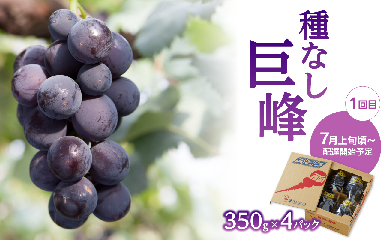 【先行受付】福岡ぶどう定期便【全3回】【ＪＡふくおか】ぶどう食べ比べ便 各1.4kg（種なし巨峰、ピオーネ、シャインマスカット）
